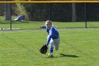 Softball vs Springfield  Wheaton College Softball vs Springfield College. - Photo by: KEITH NORDSTROM : Wheaton, Baseball